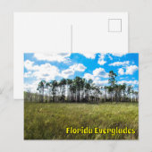 Everglades Cipres Blauwe Lucht & Wolkreflecties Briefkaart (Voorkant / Achterkant)