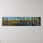 Everglades Cypress Poster (Voorkant)