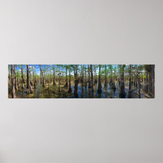 Everglades Cypress Poster (Voorkant)