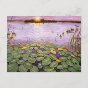 Everglades Evening Briefkaart