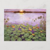 Everglades Evening Briefkaart (Voorkant)