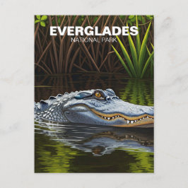 Everglades Florida Alligator Reizen Briefkaart