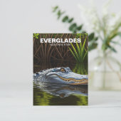 Everglades Florida Alligator Reizen Briefkaart (Staand voorkant)