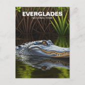 Everglades Florida Alligator Reizen Briefkaart (Voorkant)
