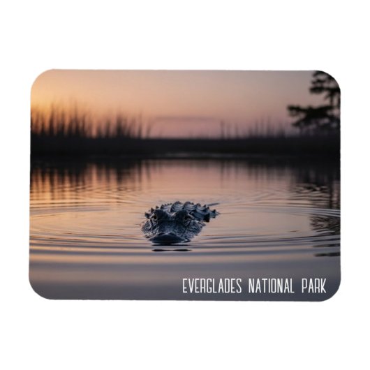 Everglades Florida Alligator Travel Magneet (Horizontaal)