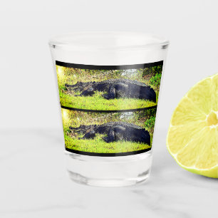 Everglades Gator Shot Glass Glas