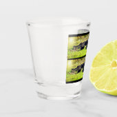 Everglades Gator Shot Glass Shot Glas (Links)