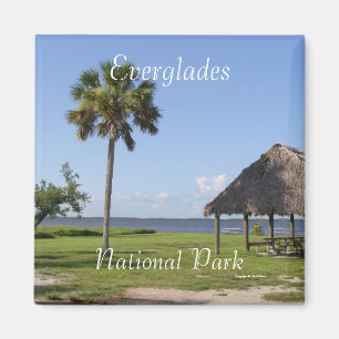Everglades Magneet