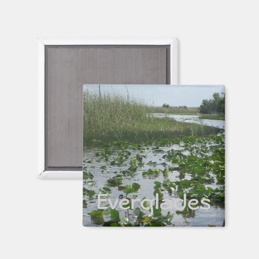 Everglades Magneet (Voorkant / Achterkant)