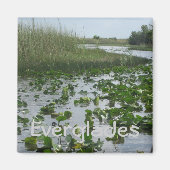 Everglades Magneet (Voorkant)