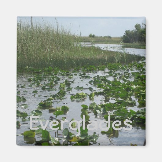 Everglades Magneet (Voorkant)