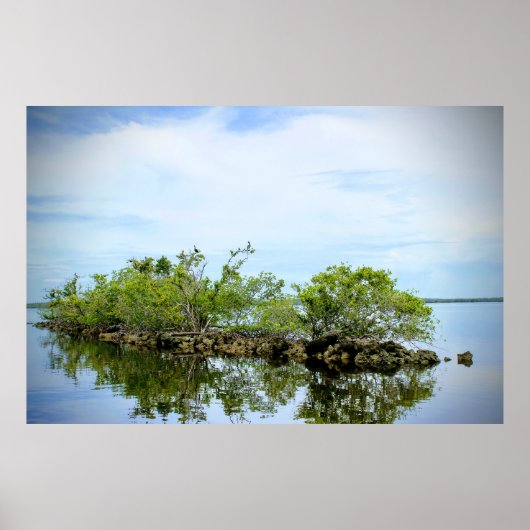 Everglades Mangroves Poster (Voorkant)