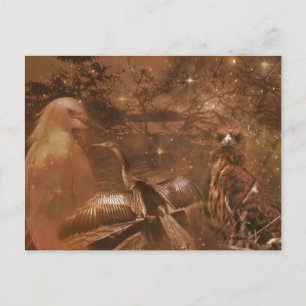 Everglades - Nationaal Park in Florida Briefkaart