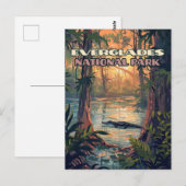 Everglades National Park Alligator Swamp Florida Briefkaart (Voorkant / Achterkant)