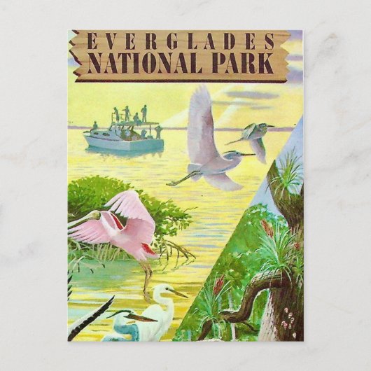 Everglades National Park ansichtkaart Briefkaart (Voorkant)