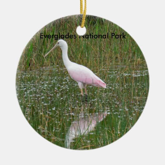 Everglades National Park Ceramic Ornament (Voorkant)