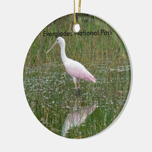 Everglades National Park Ceramic Ornament (Links)