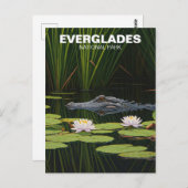 Everglades National Park Florida Alligator Reizen Briefkaart (Voorkant / Achterkant)