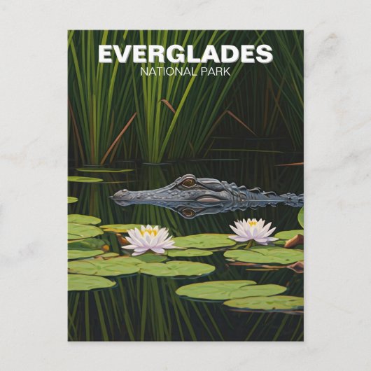 Everglades National Park Florida Alligator Reizen Briefkaart (Voorkant)