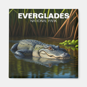 Everglades National Park Florida Alligator Reizen Magneet