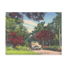 Everglades National Park Florida 