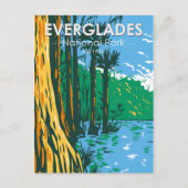 Everglades National Park Florida  Briefkaart (Voorkant)