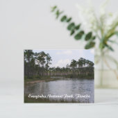 Everglades National Park, Florida Briefkaart (Staand voorkant)