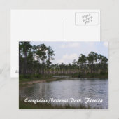 Everglades National Park, Florida Briefkaart (Voorkant / Achterkant)