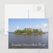 Everglades National Park, Florida Briefkaart (Voorkant / Achterkant)