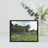 Everglades National Park, Florida Briefkaart (Staand voorkant)