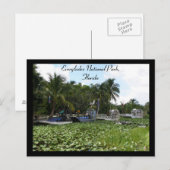 Everglades National Park, Florida Briefkaart (Voorkant / Achterkant)