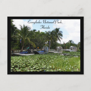 Everglades National Park, Florida Briefkaart