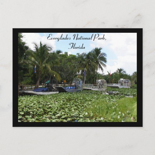 Everglades National Park, Florida Briefkaart (Voorkant)