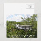 Everglades National Park, Florida Briefkaart (Voorkant / Achterkant)