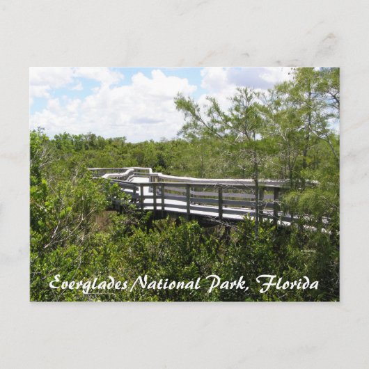 Everglades National Park, Florida Briefkaart (Voorkant)