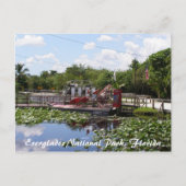 Everglades National Park, Florida Briefkaart (Voorkant)