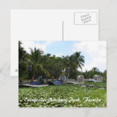 Everglades National Park, Florida Briefkaart (Voorkant / Achterkant)