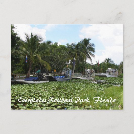 Everglades National Park, Florida Briefkaart (Voorkant)