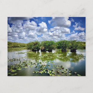 Everglades, National Park, Florida Briefkaart