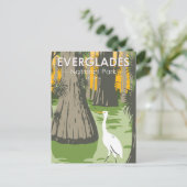 Everglades National Park Florida Egret Briefkaart (Staand voorkant)