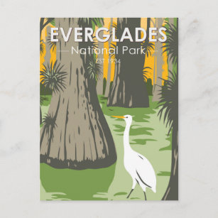 Everglades National Park Florida Egret  Briefkaart