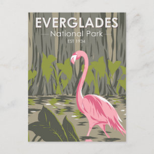 Everglades National Park Florida Flamingo  Briefkaart
