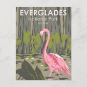 Everglades National Park Florida Flamingo  Briefkaart (Voorkant)