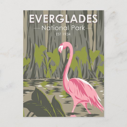 Everglades National Park Florida Flamingo  Briefkaart (Voorkant)