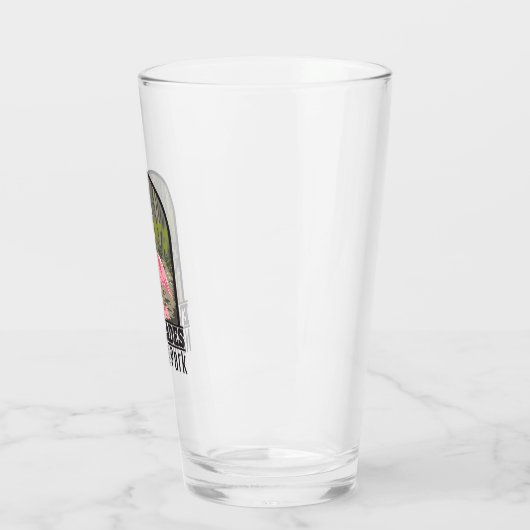 Everglades National Park Florida Flamingo  Glas (Links)