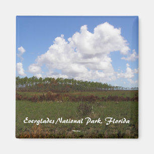Everglades National Park, Florida Magneet