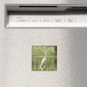 Everglades National Park, Florida Magneet (Insitu (Vaatwasser))