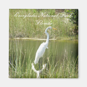 Everglades National Park, Florida Magneet