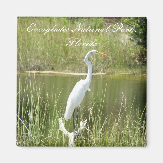 Everglades National Park, Florida Magneet (Voorkant)