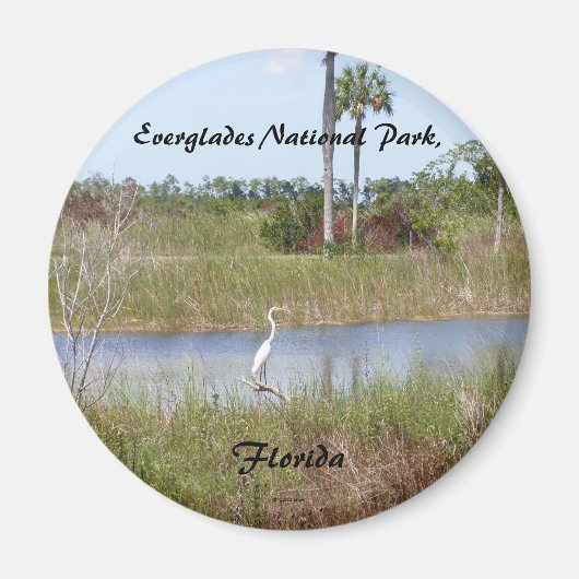 Everglades National Park, Florida Magneet (Voorkant)